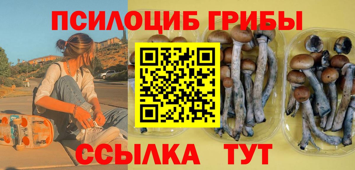 Галлюциногенные грибы Psilocybine cubensis Соль-Илецк