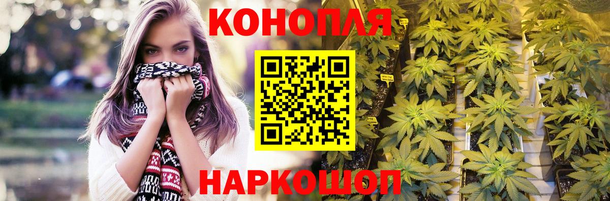 Бошки марихуана White Widow  Марихуана гибрид  Соль-Илецк  Конопля AK-47  Вход с VPN 